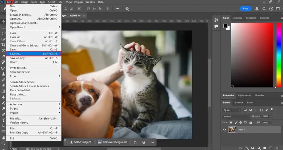 Jak zmniejszyć zdjęcie w Photoshopie i zachować jego jakość?